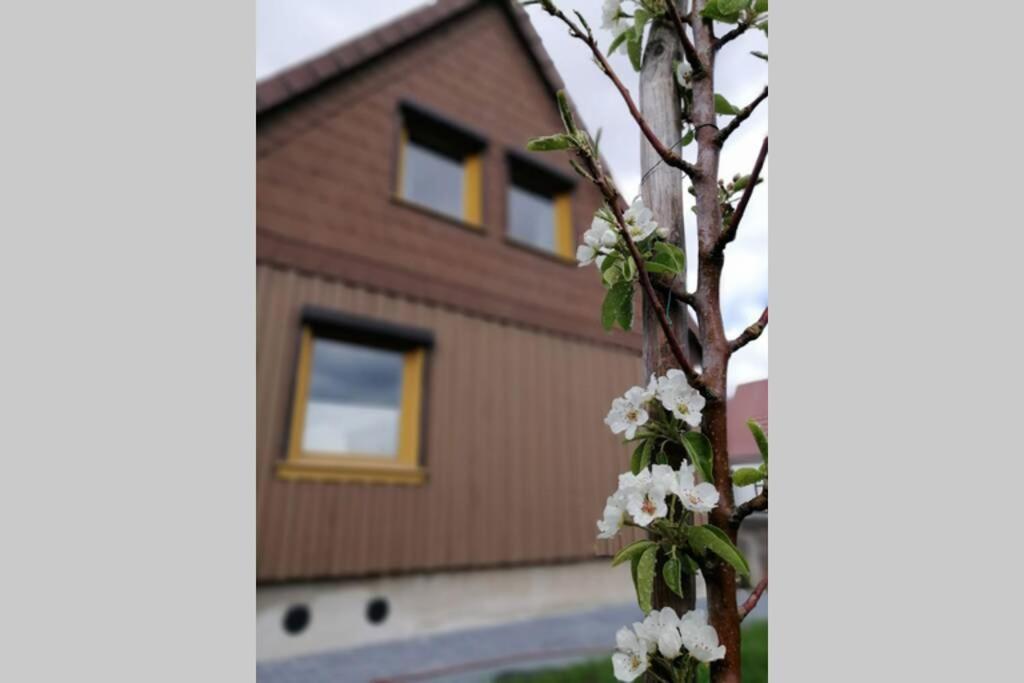 Harzhaus Ida Villa Elbingerode  Eksteriør billede